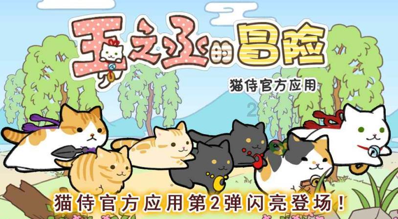 意想不到的旅程